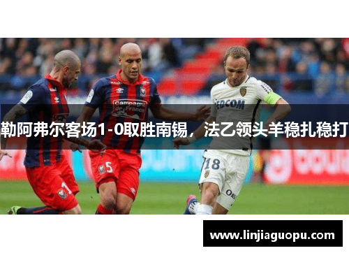 勒阿弗尔客场1-0取胜南锡，法乙领头羊稳扎稳打